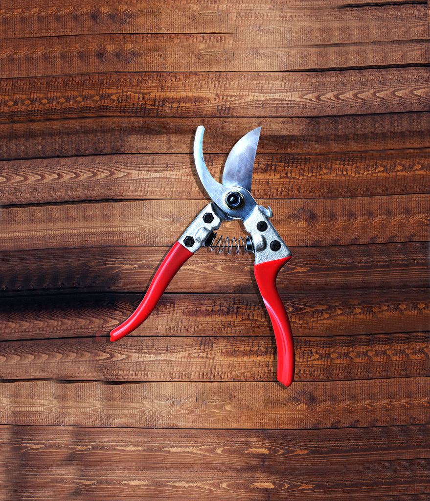 Razor Sharp Gardening Shears