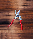 Razor Sharp Gardening Shears