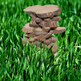 Kurtzy 500g Pack Approx 180 pcs Rustic Natural Wooden Slices Around 3.5 - 6cm Wood Log Chips with Tree Bark - 5 mm Thickness Depth for Wooden Craft Embellishments and Wedding Centerpieces Decoration