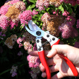Razor Sharp Gardening Shears