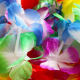 Kurtzy 10 pcs Hula Skirt and Flowers - Hawaiian Fancy Dress Costume for Women - Grass Skirt - Lei Hawaiian Set of Skirt, Top, Legband, Armband and Neckband - Lei Fancy Dress Costume