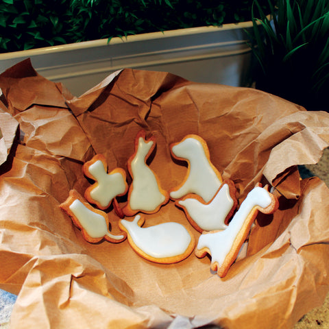 Animal and Holiday Themed Cookie Cutter Set