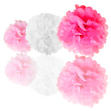 Paper Pompom and Circle Bunting Banner Party Decoration Set