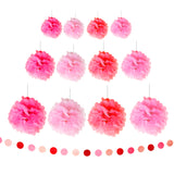 Pink Tissue Paper Pom Pom with Banner Decorations Set
