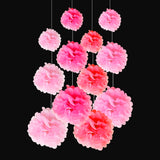Pink Tissue Paper Pom Pom with Banner Decorations Set