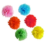 Multicolour Pom Pom and Happy Birthday Banners set