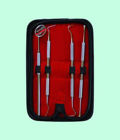 Professional Dental Kit